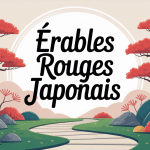 erables rouges japon dans un jardin zen avec feuillage rouge